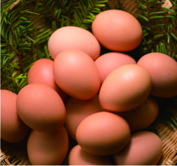 朝採れ卵のイメージ